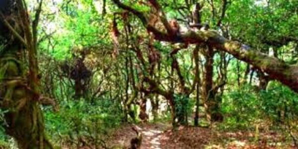 From Kathmandu: Joining Group Chandragiri Day Hiking Tour - Important Travel Information
