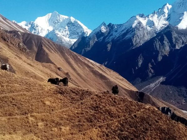 From Kathmandu: Langtang Gosainkunda Trek - Break Down