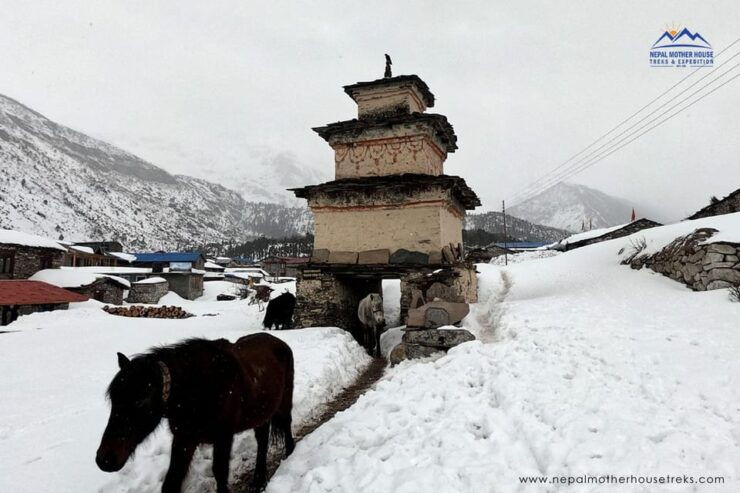 From Kathmandu: Manaslu Circuit Tea House Trek 11 Days - Key Points