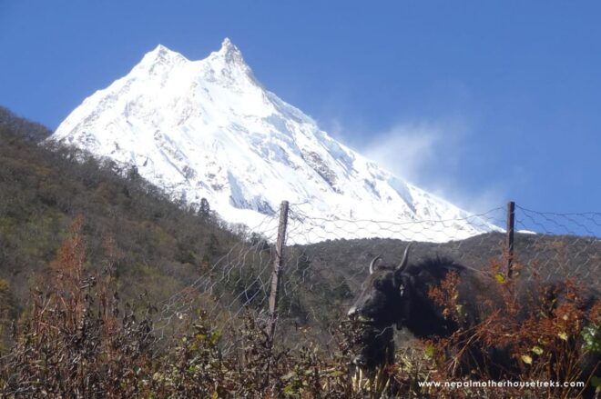 From Kathmandu: Manaslu Circuit Tea House Trek 11 Days - Inclusions and Exclusions