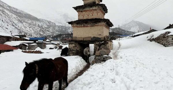 From Kathmandu: Manaslu Circuit Tea House Trek 11 Days - Questions You May Have