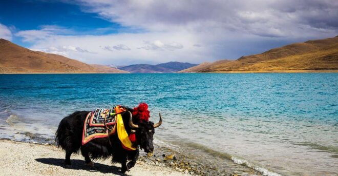 From Kathmandu: Multi-Day Tibet Highlights Trip - Itinerary