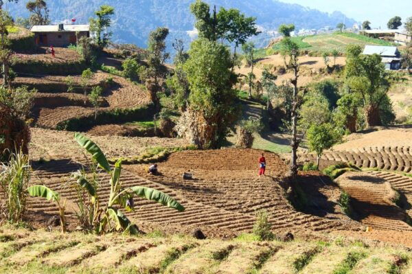 From Kathmandu: Nagarkot Sunrise and Changu Narayan Temple … - Questions You May Have