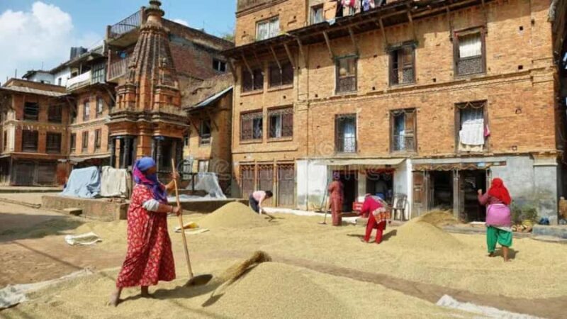 From Kathmandu: Newari Villages Culture & Cuisine Day Trip - Summary