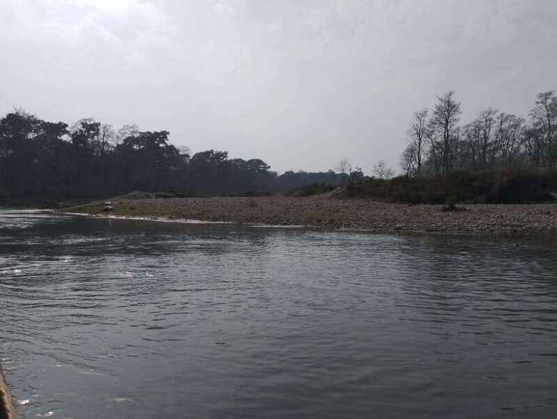 From Kathmandu or Pokhara: 4-Day Chitwan National Park Tour - Good To Know