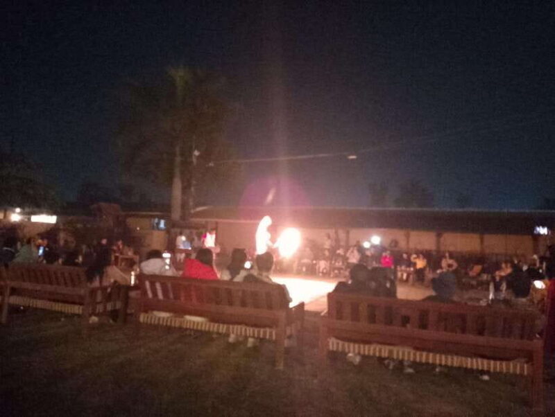 From Kathmandu or Pokhara: 4-Day Chitwan National Park Tour - Day 1: Arrival and Cultural Introduction