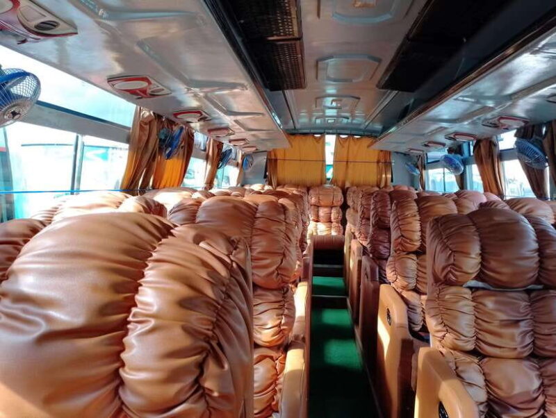 From Kathmandu or Pokhara: 4-Day Chitwan National Park Tour - Day 4: Return Journey