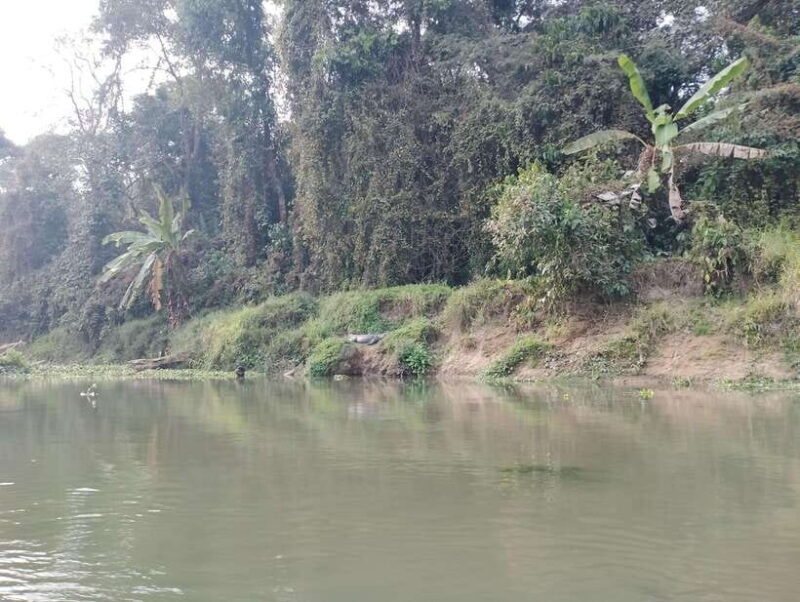 From Kathmandu or Pokhara: 4-Day Chitwan National Park Tour - Who Is This Tour Best Suited For?