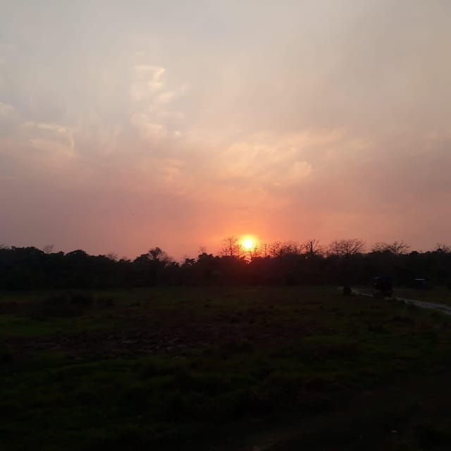 From Kathmandu or Pokhara: 4-Day Chitwan National Park Tour - Cultural Immersion Activities