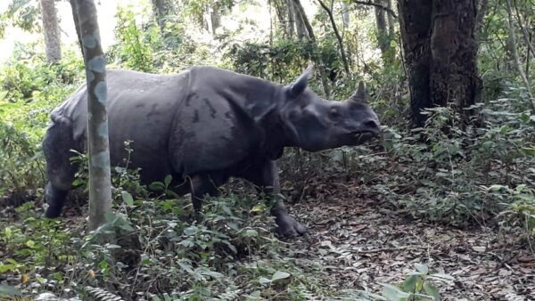 From Kathmandu or Pokhara: 4-Day Chitwan National Park Tour - Questions You May Have