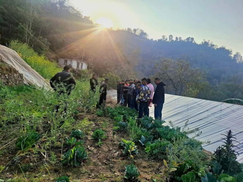 From Kathmandu: Patlekhet Permaculture Organic Farm Tour - From Kathmandu: Patlekhet Permaculture Organic Farm Tour — A Practical Look