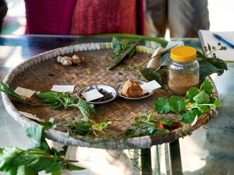 From Kathmandu: Patlekhet Permaculture Organic Farm Tour - What to Expect from the Patlekhet Permaculture Organic Farm Tour