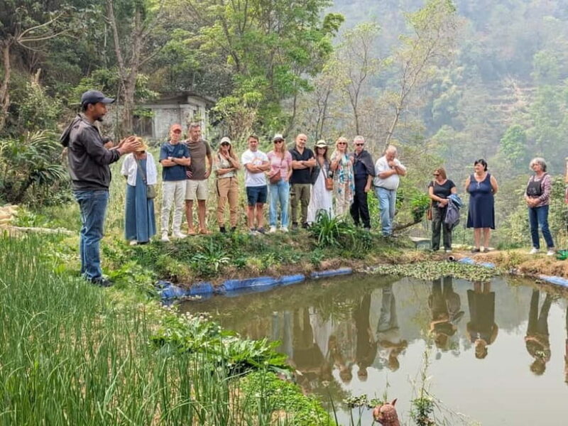From Kathmandu: Patlekhet Permaculture Organic Farm Tour - Final Thoughts