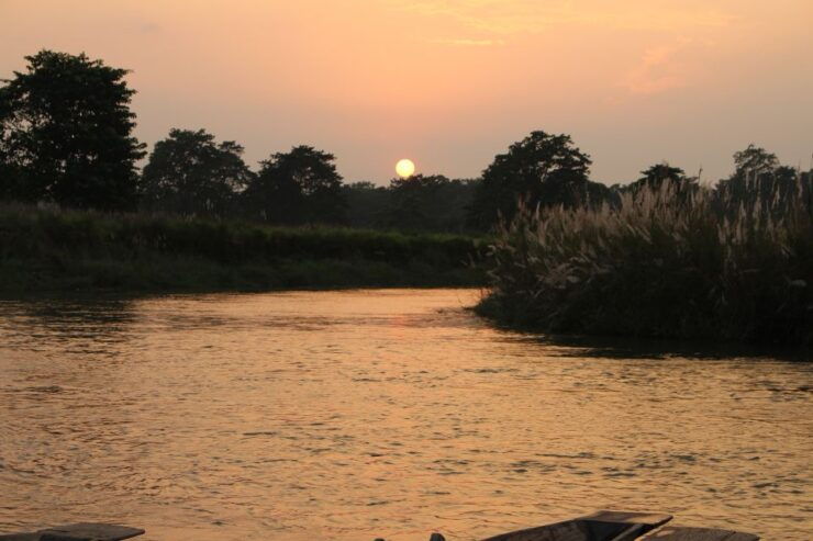 From Kathmandu/Pokhara; 2 Nights Chitwan National Park Tour - Highlights