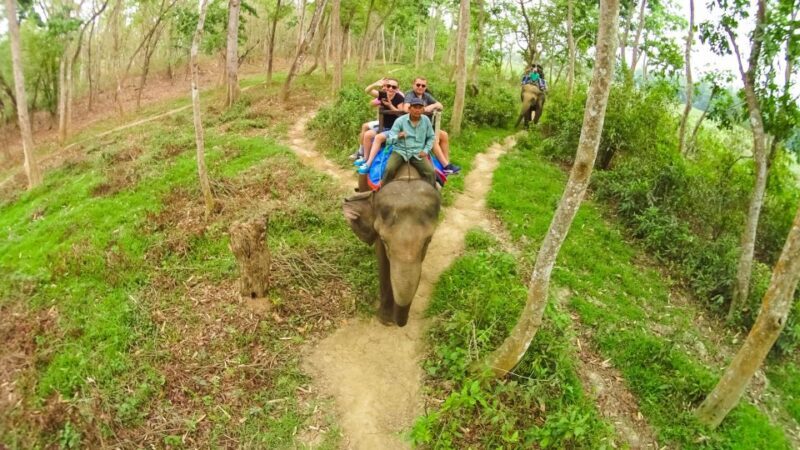 From Kathmandu/Pokhara: 3 Day All-Inclusive Chitwan Safari - Practical Details and Tips