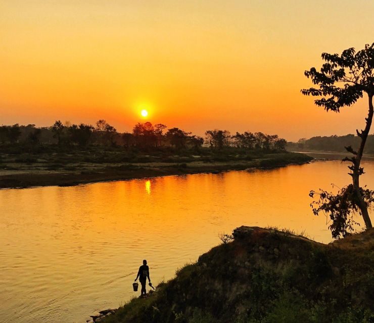 From Kathmandu/Pokhara: 3 Day All-Inclusive Chitwan Safari - Day 2: Wildlife Encounters and Conservation