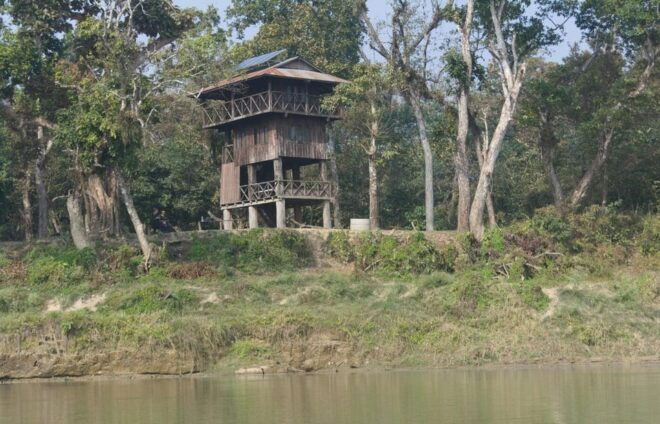 From Kathmandu / Pokhara : 3 Nights Chitwan Jungle Safari - Essential Packing Tips