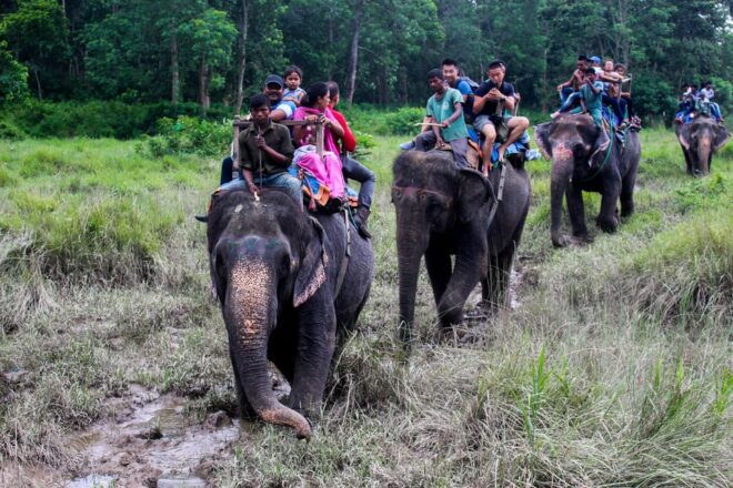 From Kathmandu / Pokhara: 3:Day All Inclusive Chitwan Safari - Booking Process