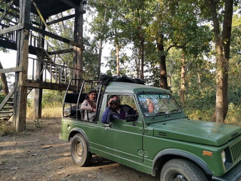 From Kathmandu/Pokhara: Bardiya National Park 4-Day Tour - Good To Know