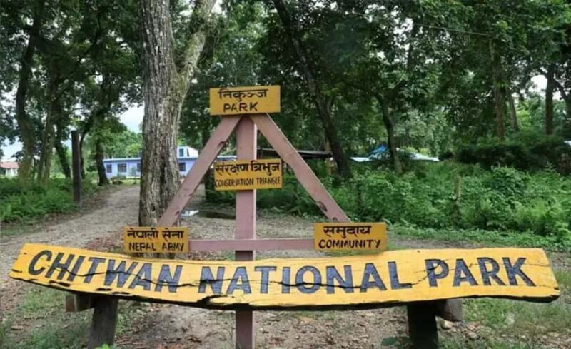 From Kathmandu/Pokhara: Private 3-Day Chitwan Safari Tour - FAQs