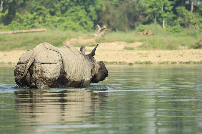 From Kathmandu: Private 3-Day Chitwan Safari Tour - Seamless Transportation and Private Pickup