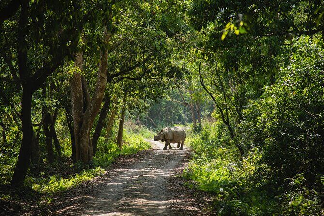From Kathmandu: Private 3-Day Chitwan Safari Tour - Authentic Insights from Reviewers