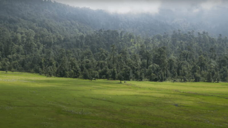 From Kathmandu: Ramaroshan Lakes 5-Day Tour - Who Should Consider This Tour?