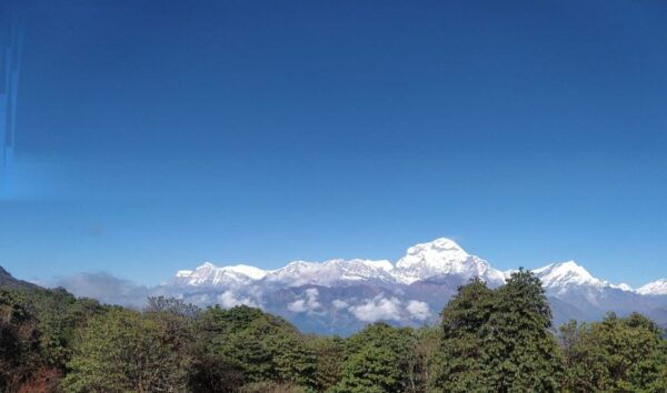 From Kathmandu: Short Annapurna Circuit Trek - 10 Days - Day 6: Ledar to Thorong Phedi