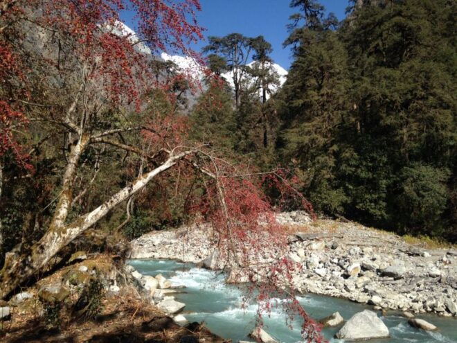 From Kathmandu: Short Langtang Valley Trek 6 Days - Location: Bagmati Zone, Nepal