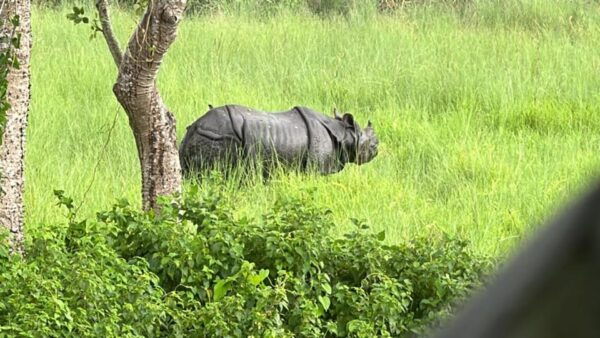 From Kathmandu to Chitwan: Jungle Safari + Meals & Transport - Booking Information and Policies
