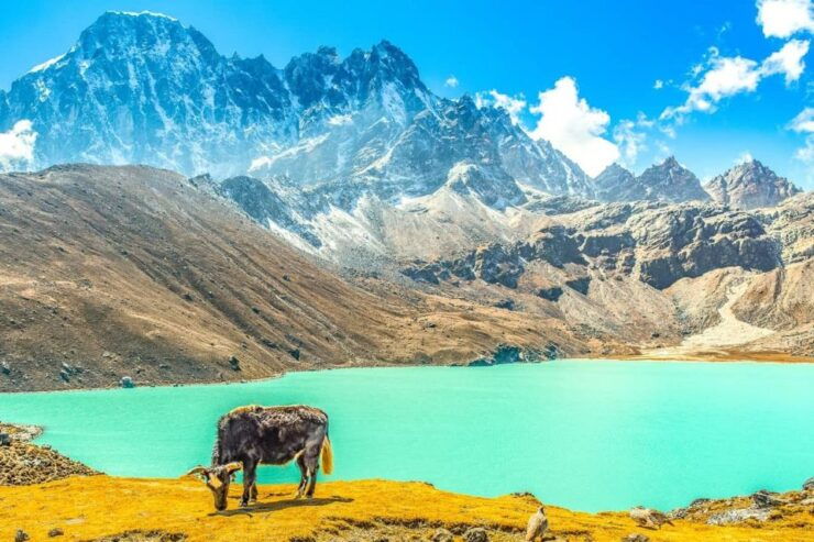 From Katmandu: 15-Day Gokyo Valley Trek With Porter - Activity Details