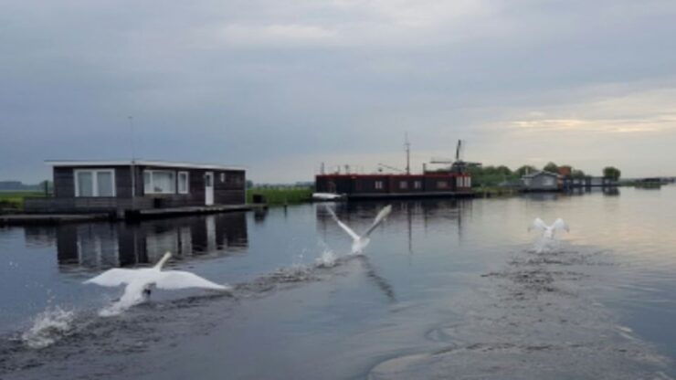 From Katwijk: Kaag Lakes Cruise - Experience