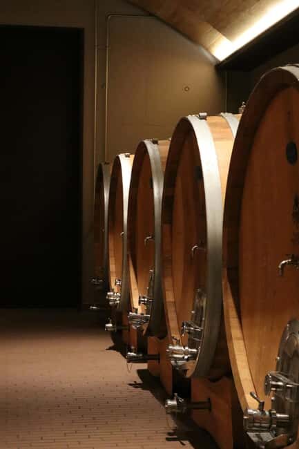 From Kavala: Philippi, Lydia's Baptisma Site & Wine Tour - Who is This Tour Best For?