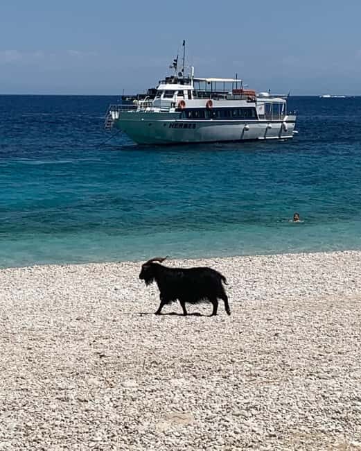 From Kefalonia: Ihaca boat tour with swimming - An In-Depth Look at the Experience