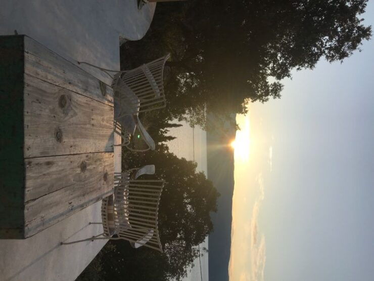 From Kefalonia: Ithaca Island Full Day Bus Tour - Tour Highlights