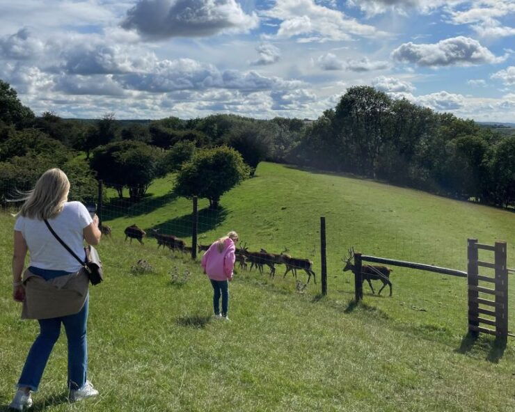 From Kemble: Full-Day Private Tour of the Cotswolds - Booking and Tour Details