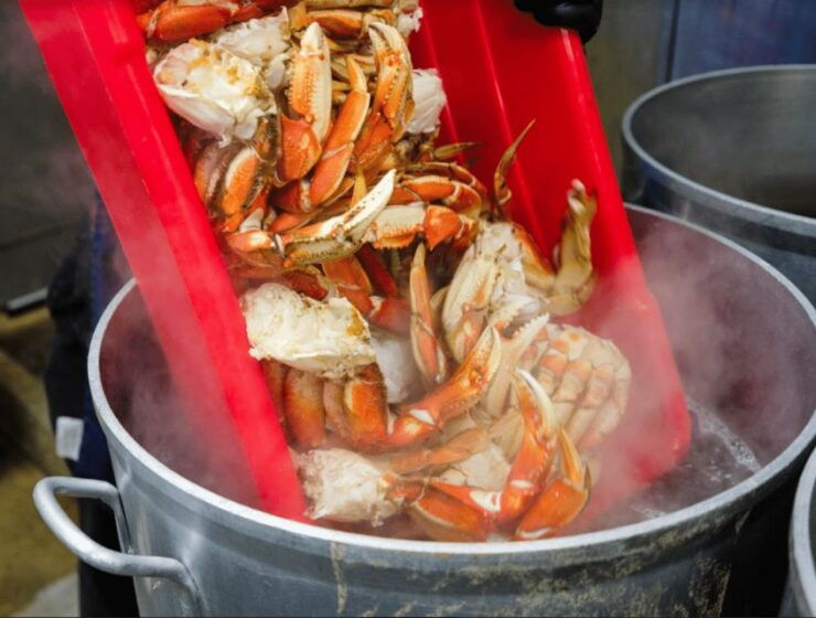 From Ketchikan: Crab Feast Lunch at World Famous Lodge - Booking Information