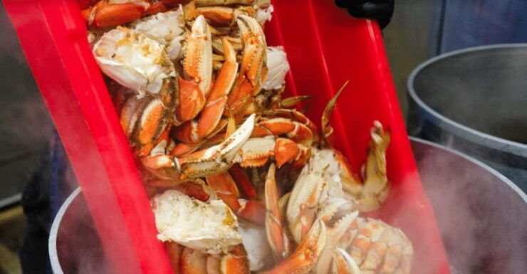 From Ketchikan: Crab Feast Lunch at World Famous Lodge - Experience Highlights