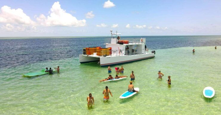 From Key West: Dolphin Watching Tour With Lunch & Drinks - Activity Details and Reservation