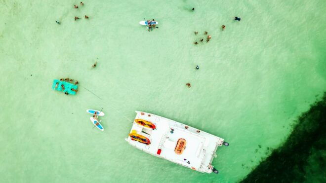 From Key West: Dolphin Watching Tour With Lunch & Drinks - Additional Information and Trip Details