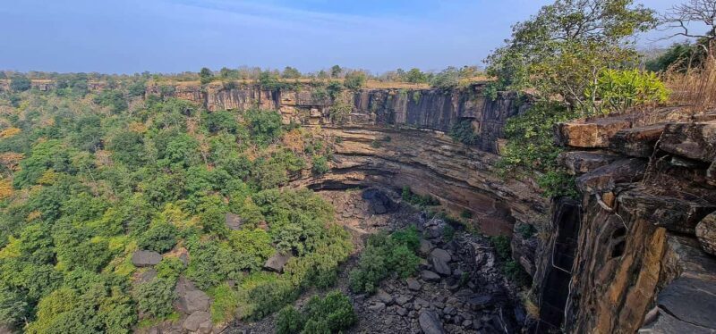 From Khajuraho: Panna National Park Official Tiger Safari - Introduction