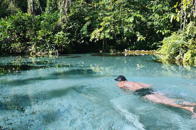 From Khao Lak : Cheow Lan Lake & Nam Rad Emerald Pool - Recommended Trip