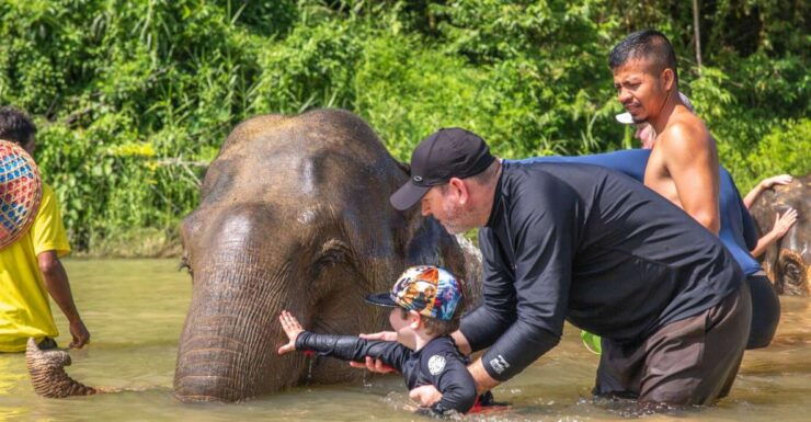 From Khao Lak: Day Trip to Khao Sok With Elephant Camp Visit - Booking Information