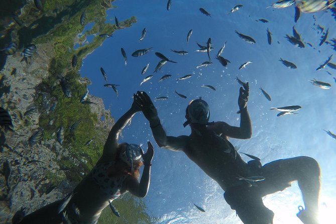 From Khao Lak : Full-Day Private Phi Phi Islands Speedboat Charter - Common Questions