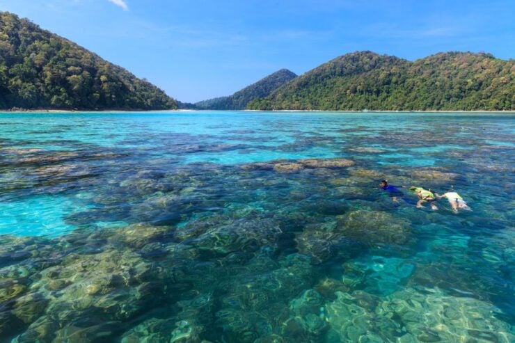 From Khao Lak: Full-Day Snorkeling in the Surin Islands - Activity Details