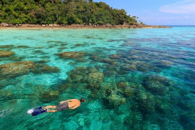 From Khao Lak: Full-Day Snorkeling in the Surin Islands - Highlights