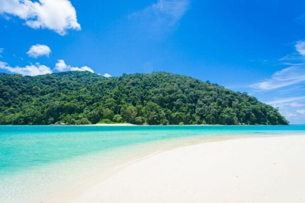 From Khao Lak: Full-Day Snorkeling in the Surin Islands - The Sum Up