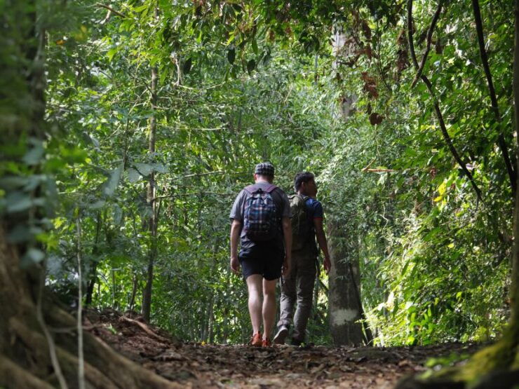 From Khao Lak: Khao Sok Jungle Hike & River Tour - Activity Details