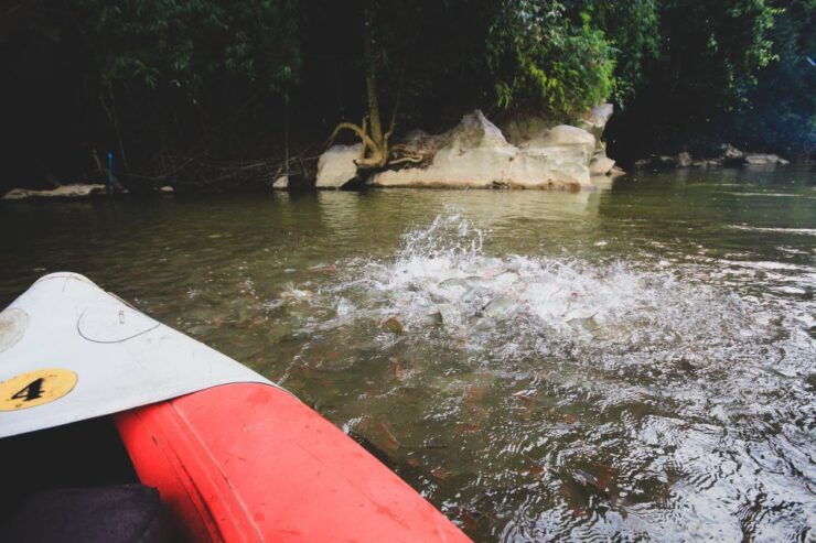 From Khao Lak: Khao Sok Jungle Hike & River Tour - Experience Highlights