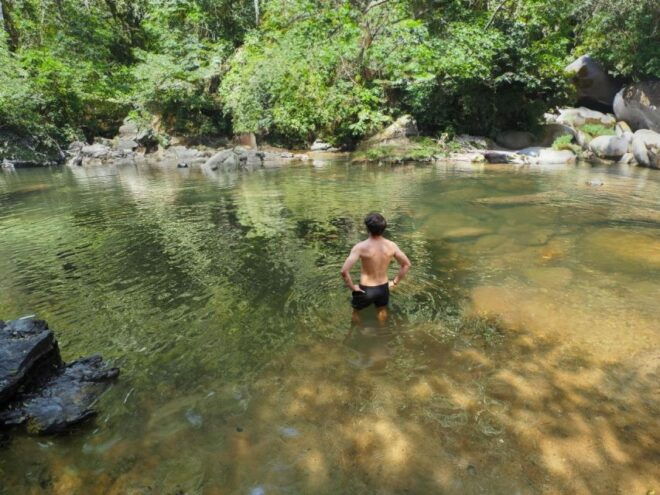 From Khao Lak: Khao Sok Jungle Hike & River Tour - Review Summary